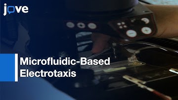 Microfluidic-Based Electrotaxis For On-Demand Quantitative Analysis: Locomotion l Protocol Preview
