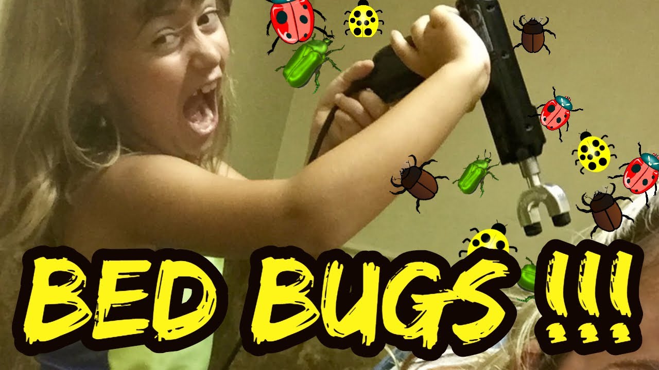 The Doctors Bed Bugs! YouTube