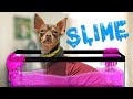 MARQUÉ MI CUERPO EN SLIME | POLINESIOS VLOGS