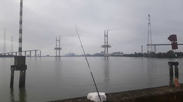 Câu ở sông Soài Rạp - Mương Chuối được hugo 🤣