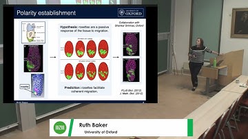 Prof. Ruth Baker | Efficient Bayesian inference for mechanistic modelling with high-throughput data
