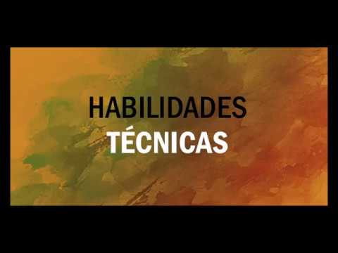 Que son las habilidades técnicas 10 Ejemplos de Habilidades Técnicas Imprescindibles