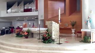 St. Thomas More Church 10 am Mass.    Pentecost Sunday.  05-24- 2026