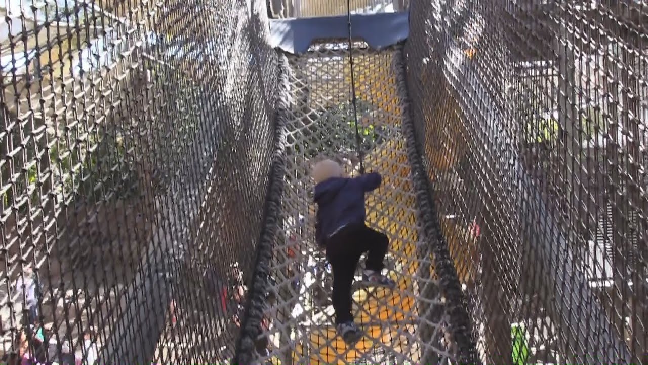 Animal Kingdom Playground The Boneyard Walt Disney World