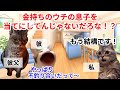 【スカッと猫ミーム】貧乏な奴とは結婚を認めないと言われ数分後高級車で父が登場！#猫マニ #猫ミーム