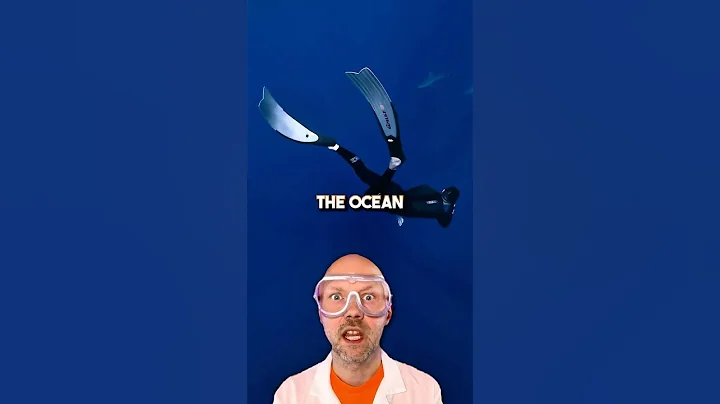 Run if you hear this sound