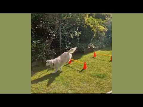 Produktvideo
