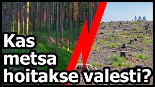 Kas Eesti metsi majandatakse valesti?