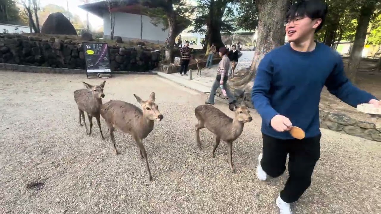 20260222日本大阪行13