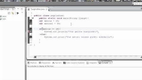 Java programavimo pamoka 6 - logines operacijos