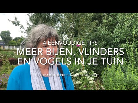 Video: Vogel die bessenplanten aantrekt - De beste bessenplanten voor vogels kiezen