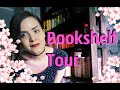 Тур усіма моїми книжковими поличками! | Bookshelf Tour 2020