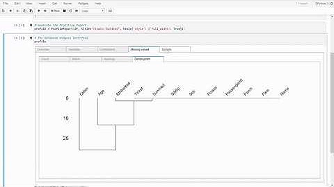 pandas 프로파일링