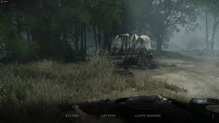 Hunt Showdown Flickering Graphics