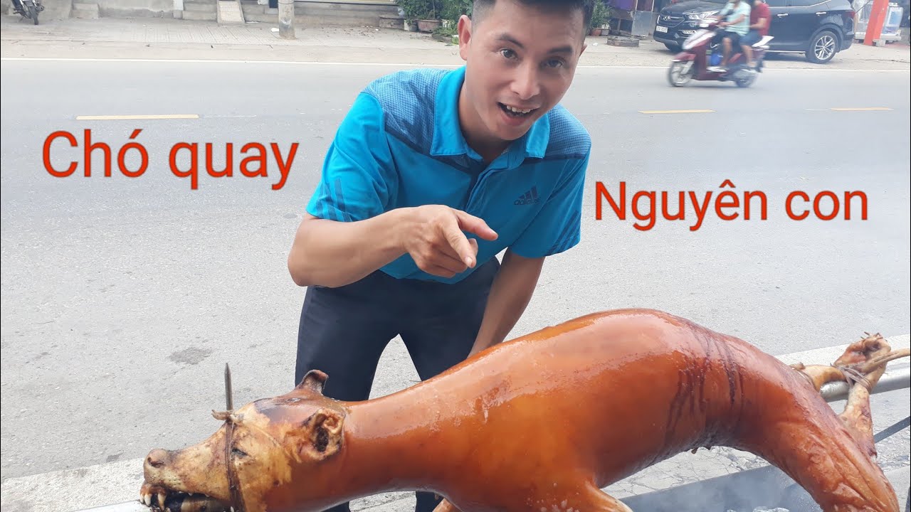 Chó quay nguyên con kỹ thuật quay chó kỹ thuật nướng chó gia vị tạo nên ...