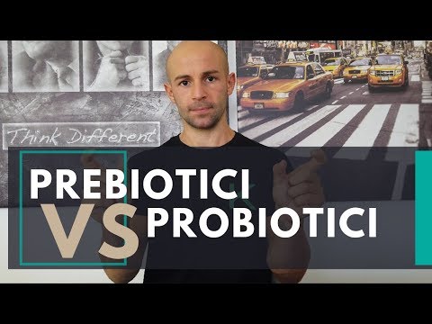 Differenza tra prebiotici e probiotici nel nostro intestino