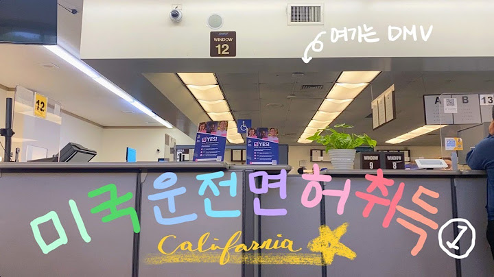 🇺🇸 ʟᴀ ᴠ의ʟᴏɢ | DMV 방문해서 운전면허 필기시험 🚘 코스트코∙한남체인∙랄프스 장보기 🥔 노을 사냥꾼 🌞 바질 닭볶음탕과 김밥공장 가동 🅄🅂