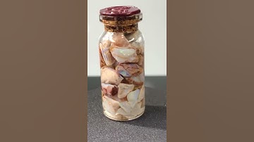 Australian rough Crystal Opal, coober pedy opal, opalized fossils B9