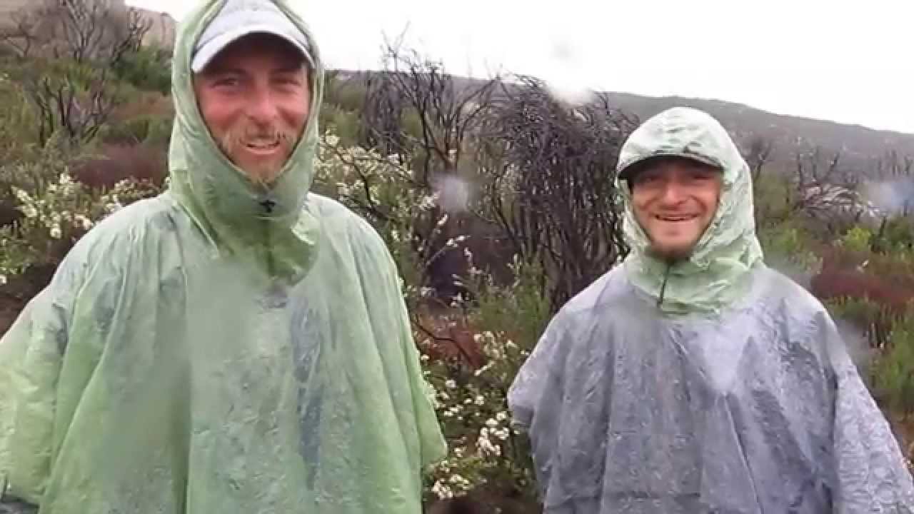 Pepper and Trauma make history!