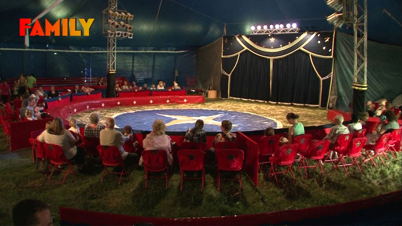 Le cirque, une tradition qui séduit 13 millions de français !