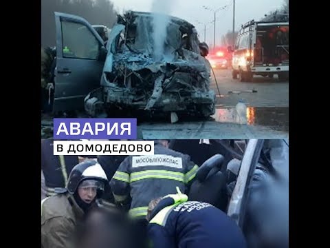 Шесть человек погибли в ДТП в Домодедове – Москва 24