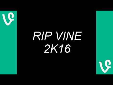 my favorite lgbt vines