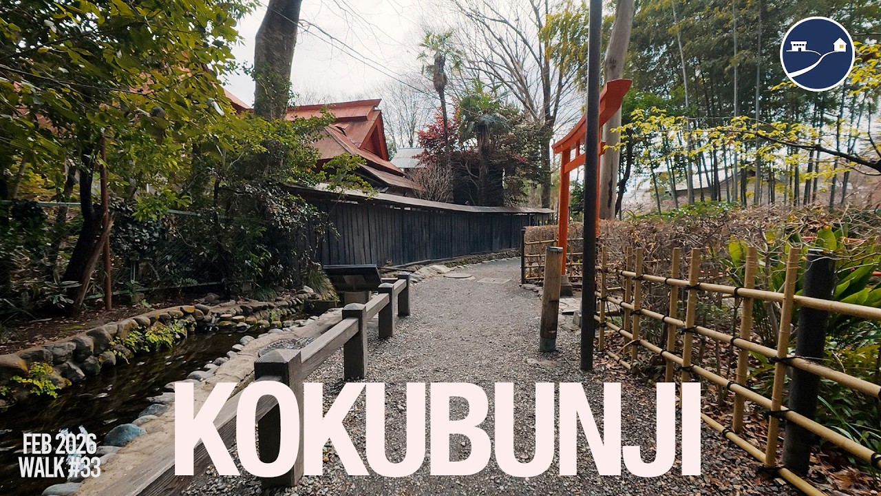Cloudy Midday Walk in Kokubunji (Tokyo) | Otaka no Michi & Quiet Streets