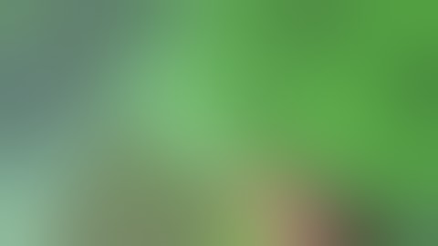 Russia - XX.09.2025. Ukrainian SOF Soldiers Expertly Bury And Camouflage OZM-72 Anti-Personnel Mines