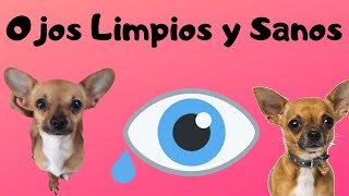 Limpieza De Ojos En Perros Chihauhuas Cabeza De Venado Y Manzana