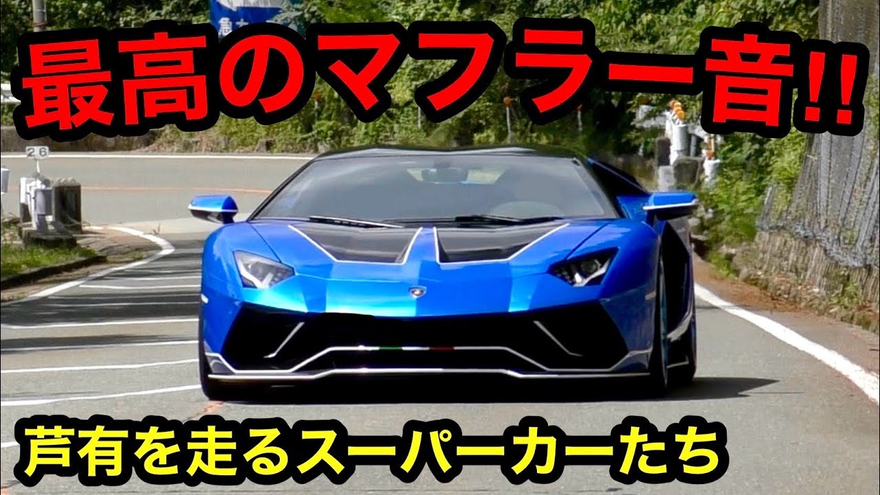 最高のマフラー音‼️】芦有ドライブウェイを走るスーパーカー‼️ [爆音