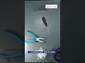 🔧 Мой Dyson SV17 выключается при уборке? Вот как чиним!