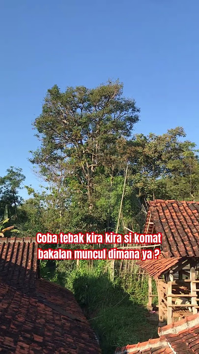 Guess where the Komat will appear #viralvideo #shortvideo #sikomat