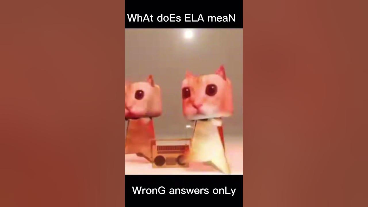 what-does-ela-mean-wrong-answers-only-funny-foryou-goofy-cats