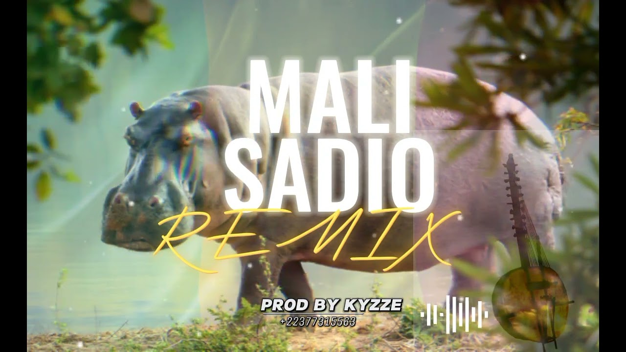 MANDINGUIE INSTRUMENTAL ( MALI SADIO REMIX KORA ) BEAT FROM MALI _-_ PROD BY KYZZE PRO MAX 2023