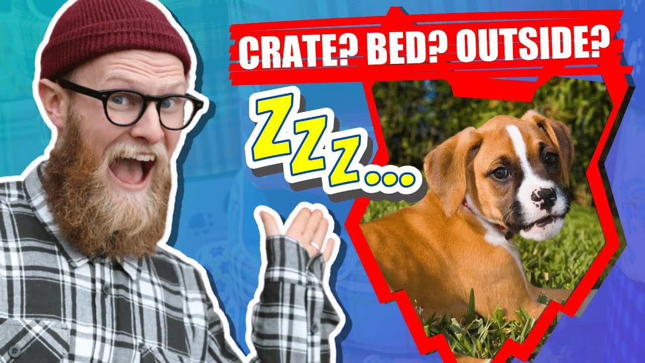 How Much Do Boxer Puppies Sleep