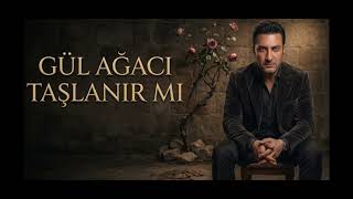 Gül Ağacı Taşlanır Mı Türkü Mix