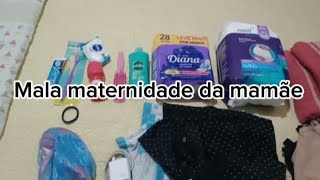 Mala maternidade da mamãe