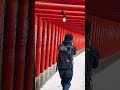 鳥居何本あるか数えれる人いる？ #スマホ #shorts
