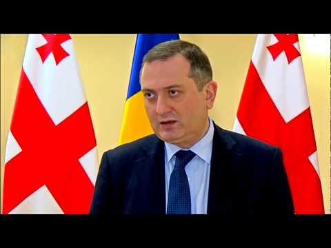 პრეზიდენტი რუმინეთის საგარეო საქმეთა მინისტრს შეხვდა