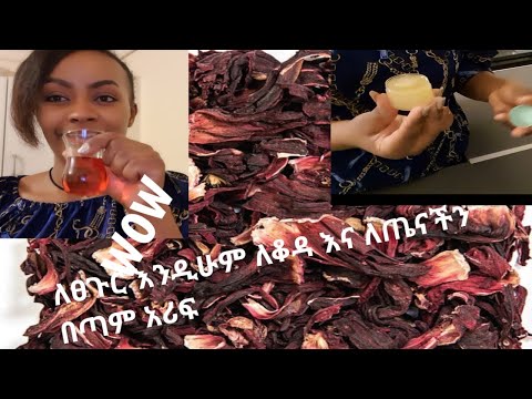 ቪዲዮ: ሂቢስከስ - የነገሥታት መጠጥ