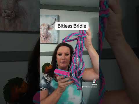 Bitless bridle with