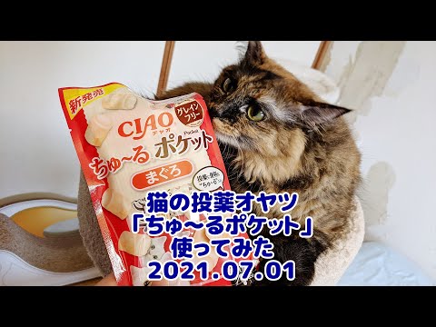猫の投薬オヤツ ちゅーるポケット 使ってみた 21 07 01 Youtube