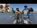 09/27/25 #catchandcook Another good day catfishing with friends at Nicasio Reservoir.