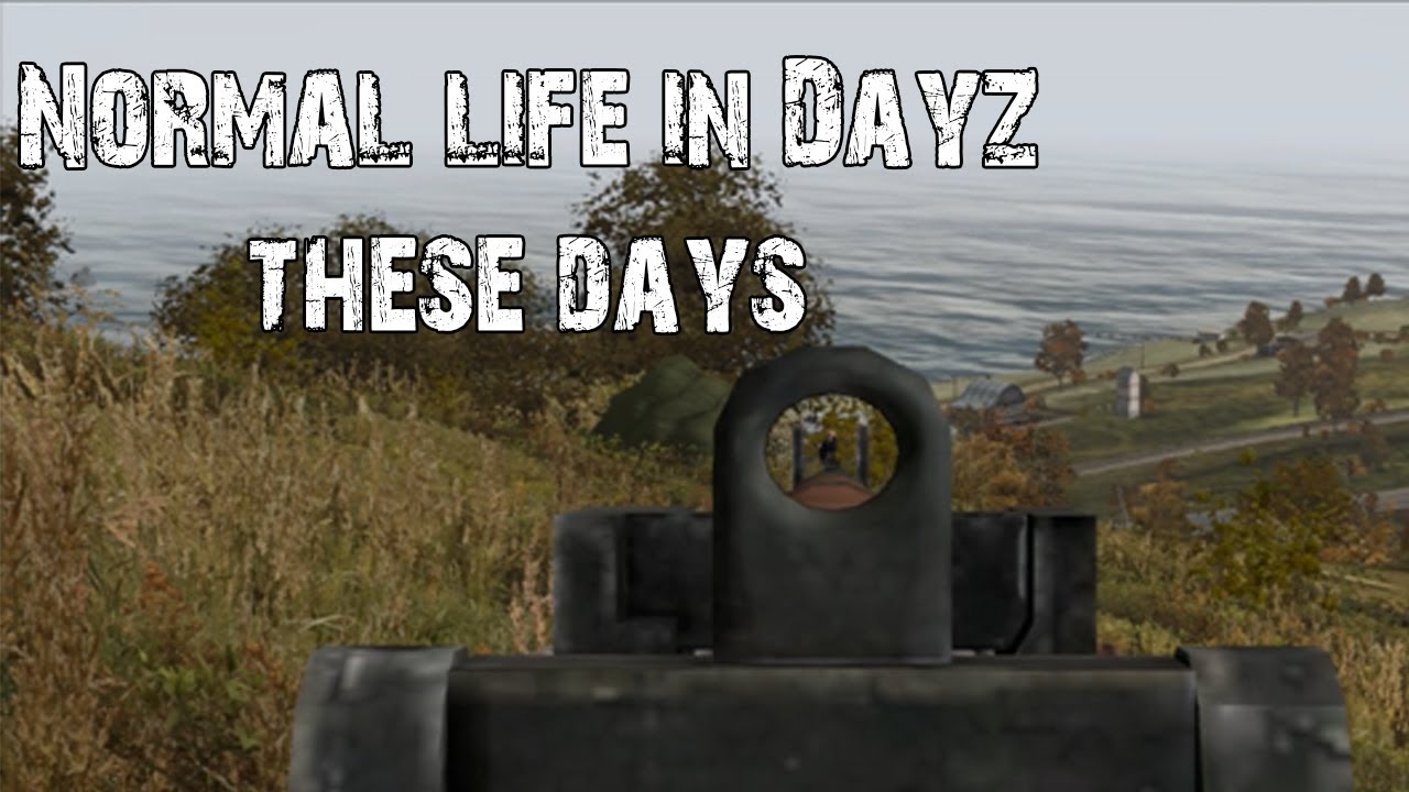 normal life in dayz these days
