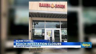 Cockroach infestation shuts down Maui ramen restaurant