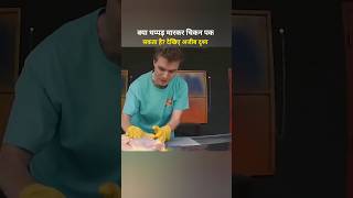 Can you cook a chicken by slapping it? #shorts #shortvideo
