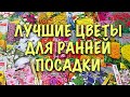 Что посеять в ФЕВРАЛЕ. Лучшие КРАСИВОЦВЕТУЩИЕ  ОДНОЛЕТНИКИ и МНОГОЛЕТНИКИ