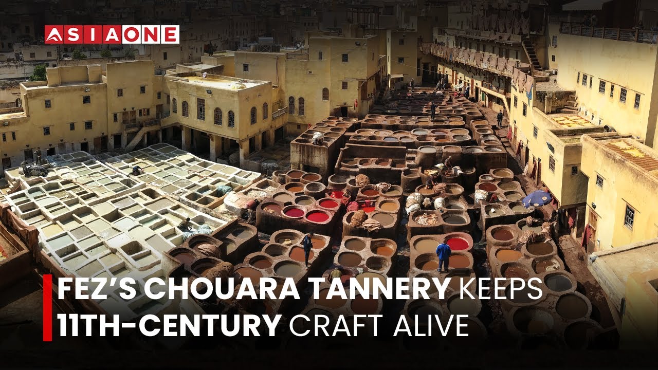 Fez’s Chouara Tannery Keeps 11th-Century Craft Alive | Asia One News