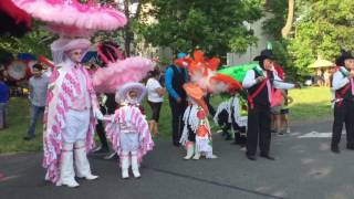 Carnabal papalotla en Plainfield 2016