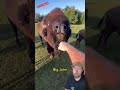 Don't Let These Animals Bite You...